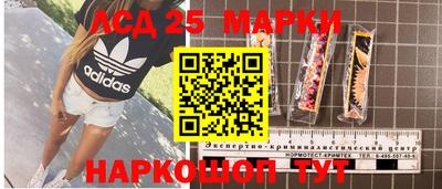 шишки Лесосибирск