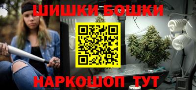 шишки Лесосибирск