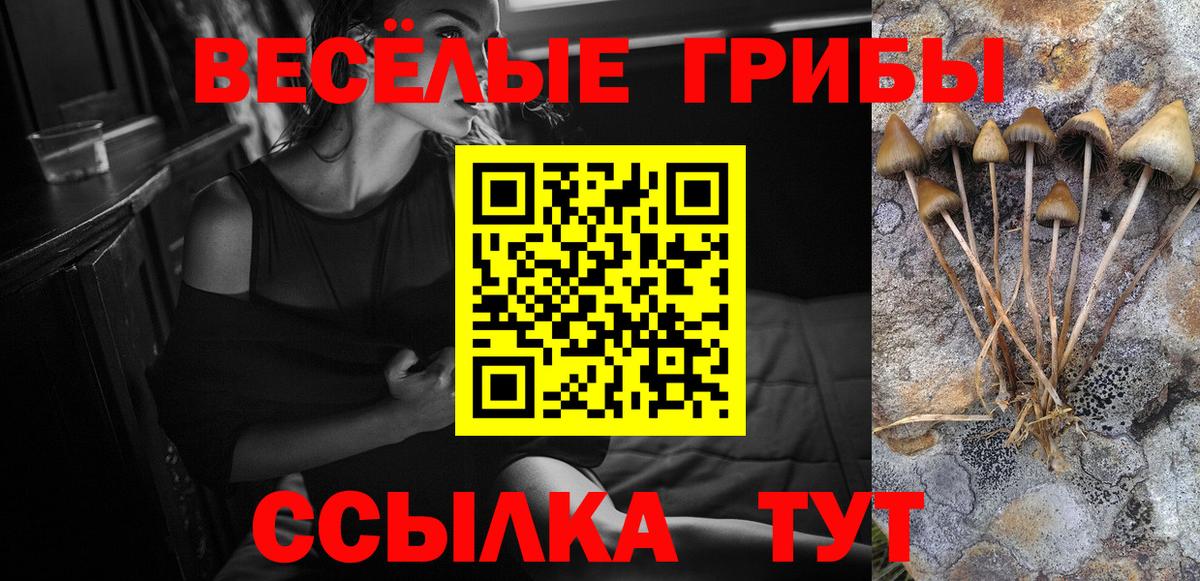Псилоцибиновые грибы Cubensis Зерноград