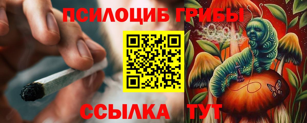 Зерноград  Галлюциногенные грибы Cubensis  Вход с VPN  Галлюциногенные грибы ЛСД 