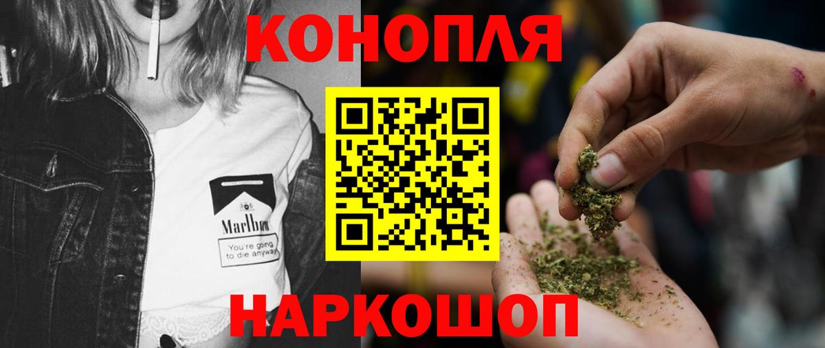 Марихуана Bruce Banner  Каннабис план  Конопля планчик  Вход с VPN  Зерноград 